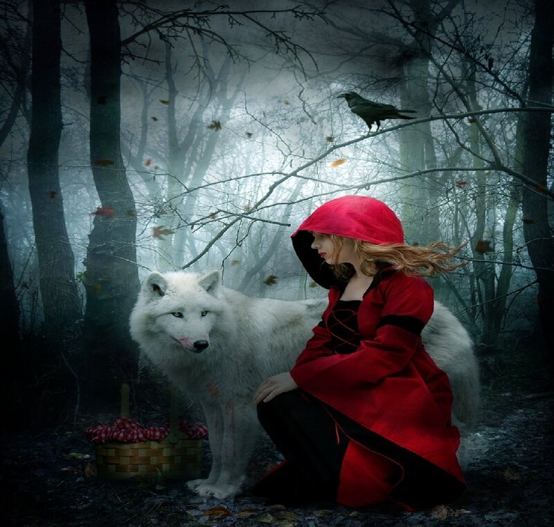 Girl in Red Cloak with Wolf — Dramatic, Mysterious