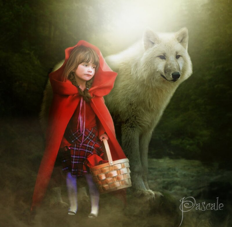 Girl in Red Cloak with Wolf — Dramatic