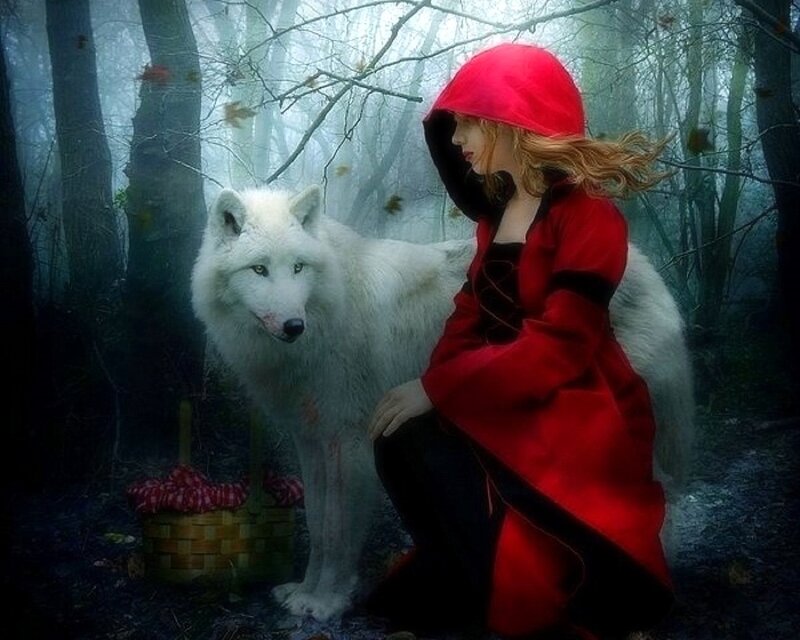 Girl in Red Cloak with Wolf — Mysterious