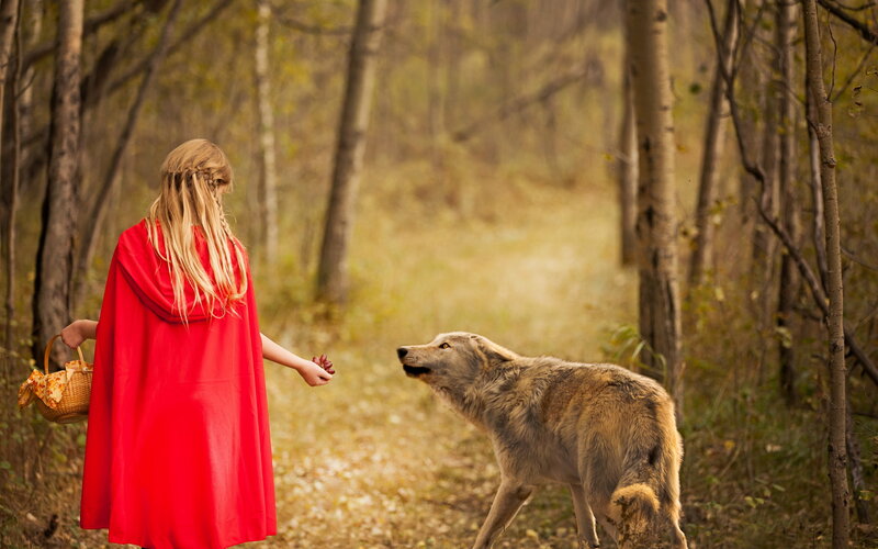Girl in Red Cloak with Wolf
