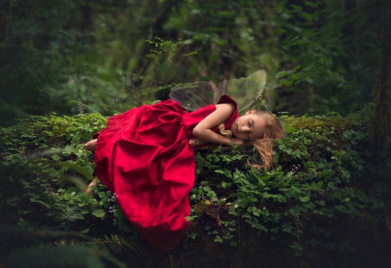Girl in Red Dress — Serene, Photograph, Forest