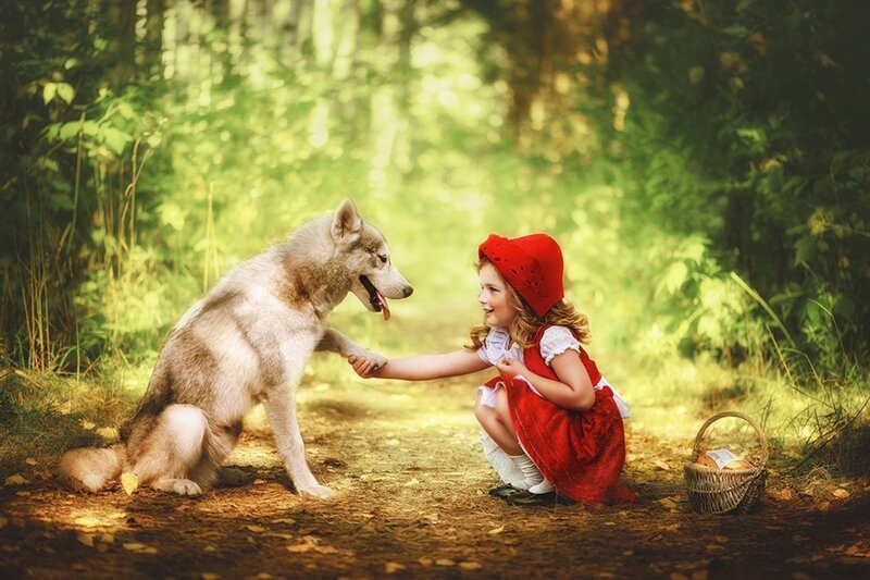 Girl in Red Dress with Wolf
