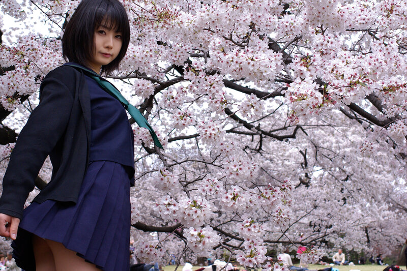 Girl in school uniform under cherry blossoms