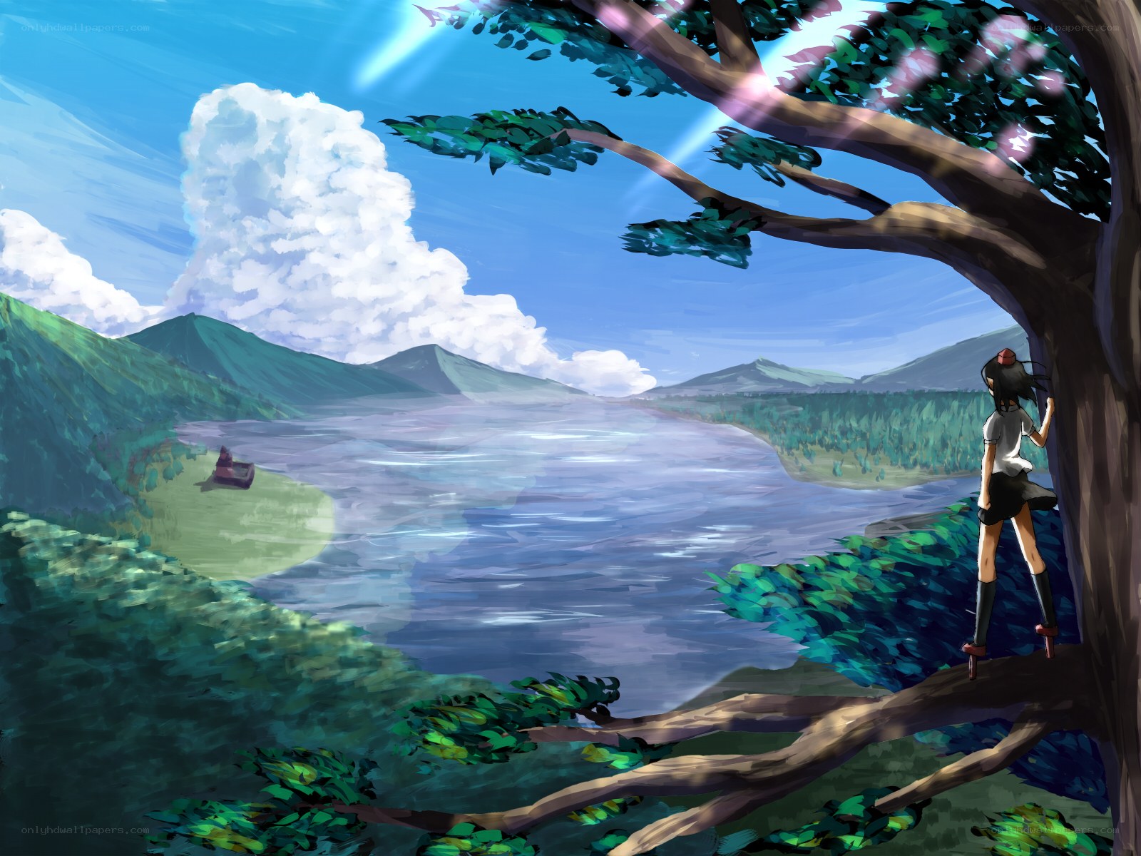 Girl in tree overlooking lake