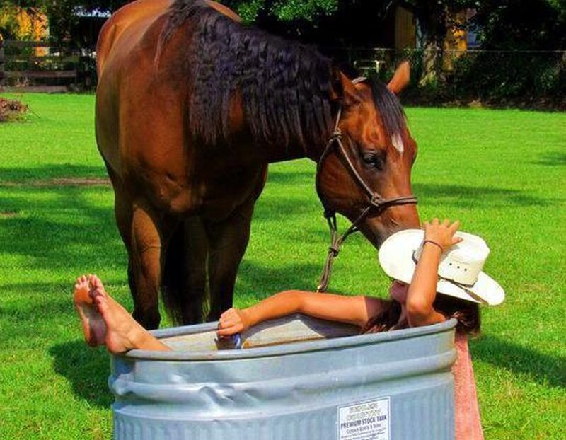 Girl in Tub with Horse