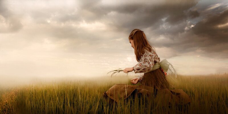 Girl in Wheat Field — Brown, Dramatic