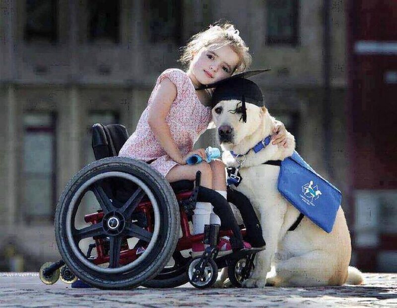 Girl in Wheelchair with Dog
