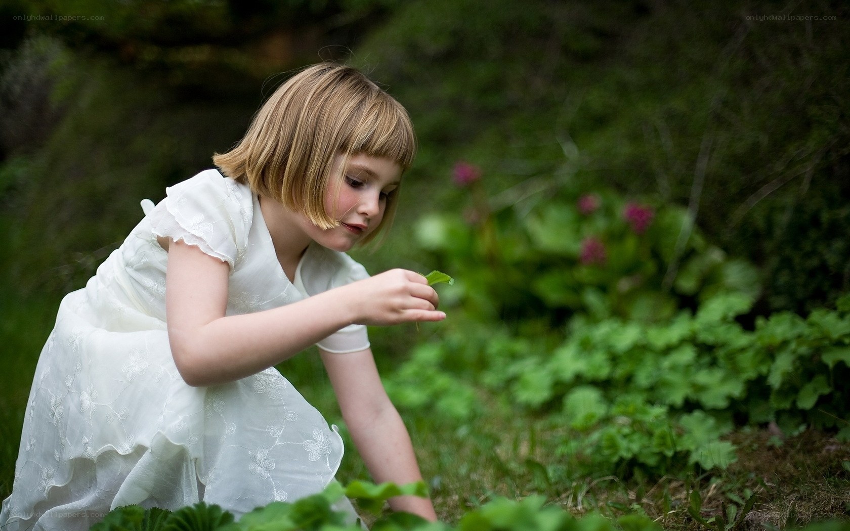 girl in white dress examining leaf