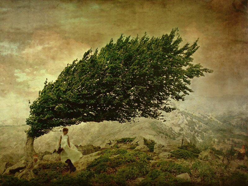 Girl in White Dress — Green, Dramatic