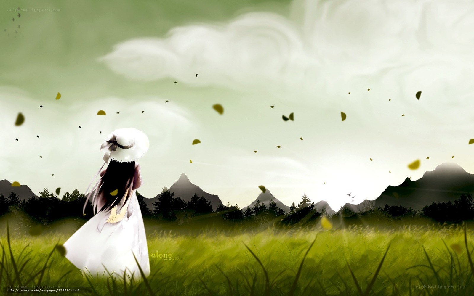 girl in white dress in field