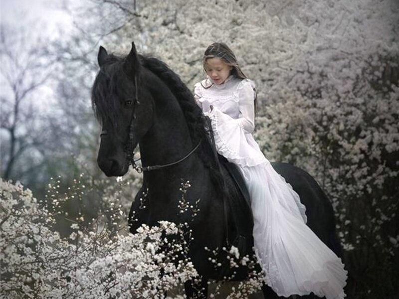 Girl in white dress on black horse