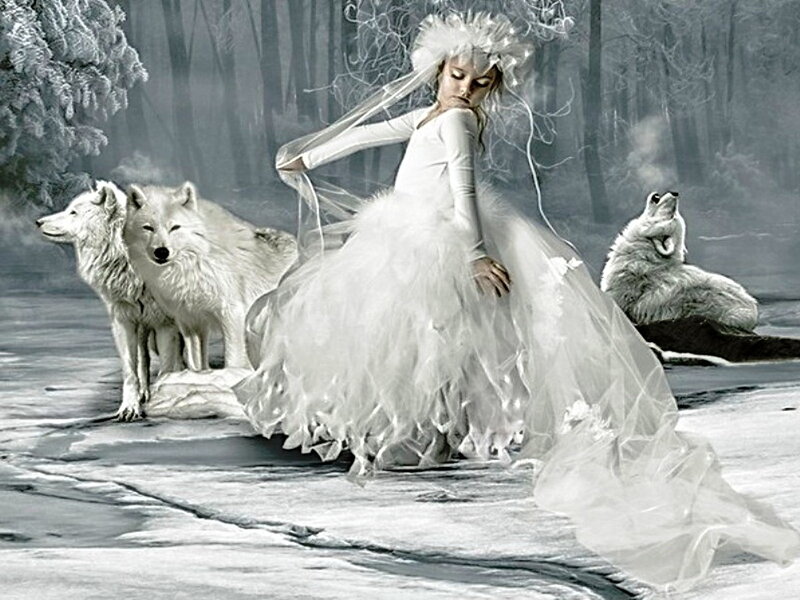 Girl in White Dress — Serene, Winter, Digital Art, Wolves