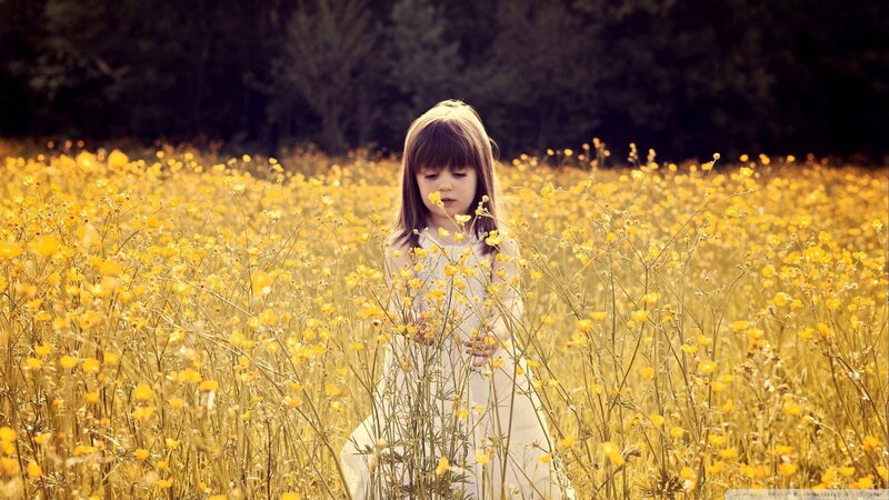 Girl in Yellow Field — Serene, Afternoon, Photograph