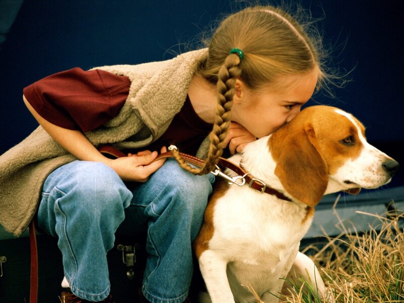 Girl Kissing Beagle
