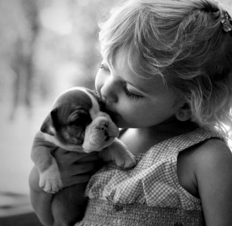 Girl Kissing Bulldog Puppy — Black