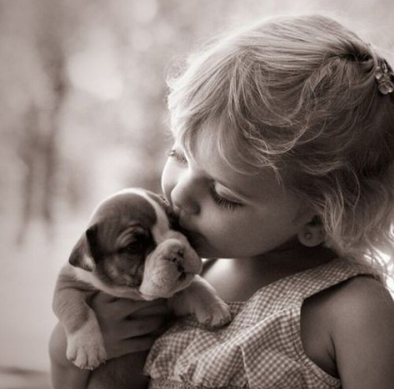 Girl Kissing Bulldog Puppy