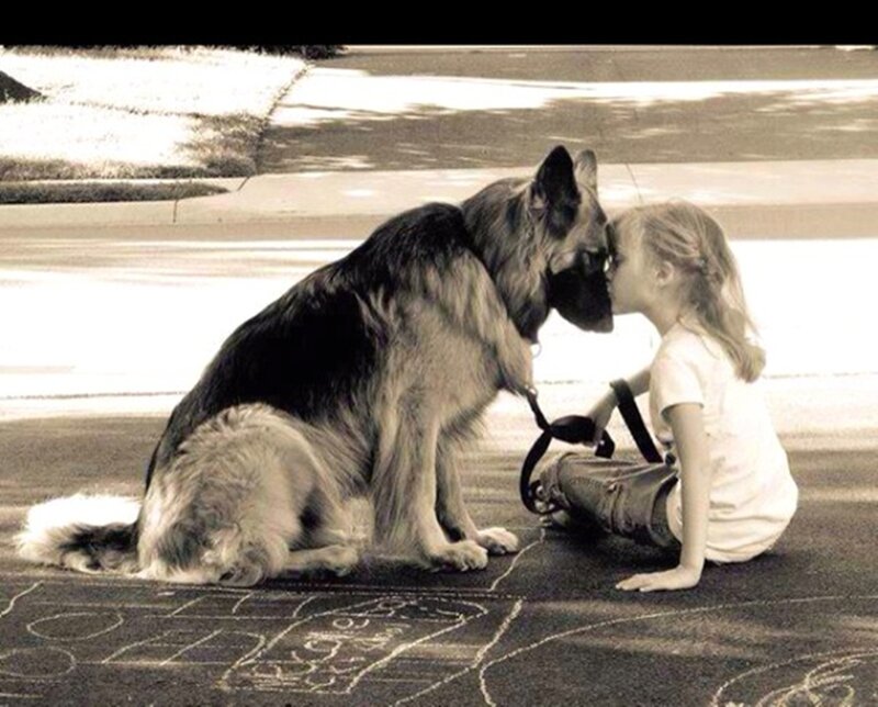 Girl Kissing Dog