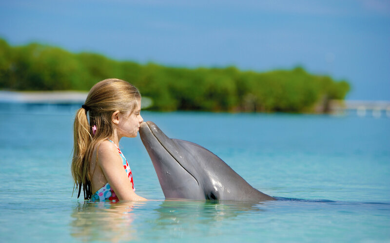 Girl Kissing Dolphin — Blue, Serene