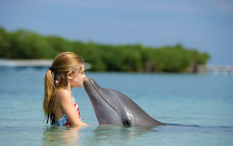 Girl Kissing Dolphin — Blue