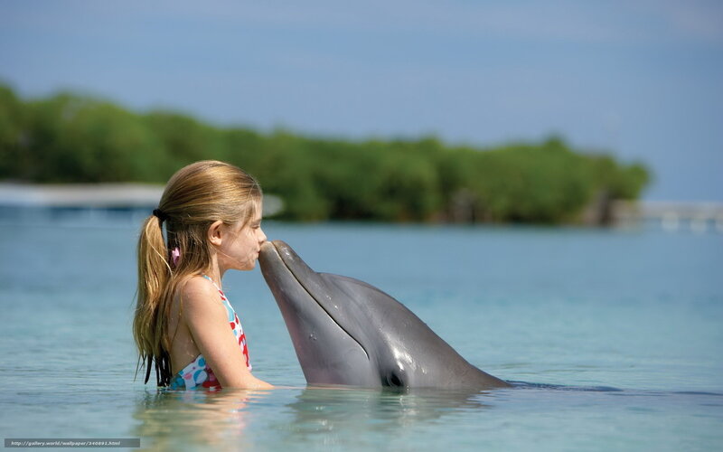 girl kissing dolphin in water