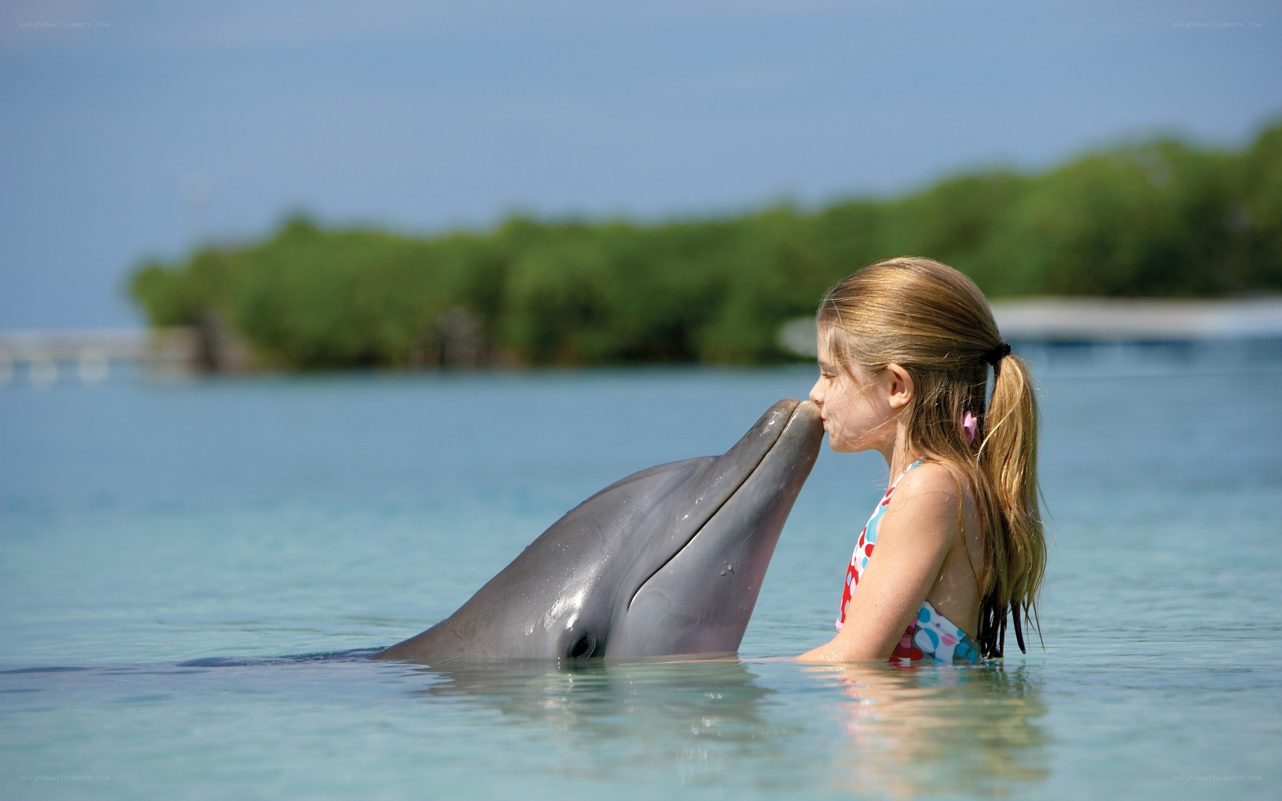 girl kissing dolphin in water