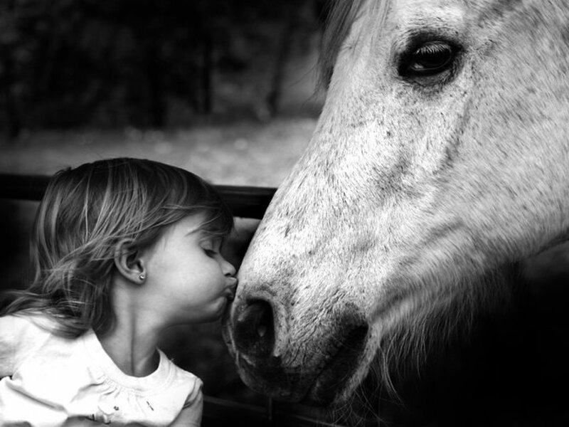 Girl Kissing Horse — Black