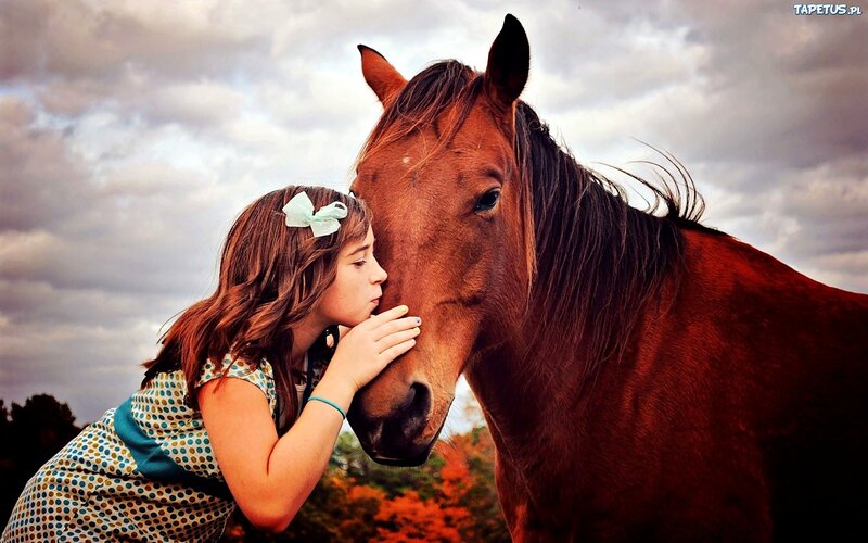 Girl Kissing Horse — Brown