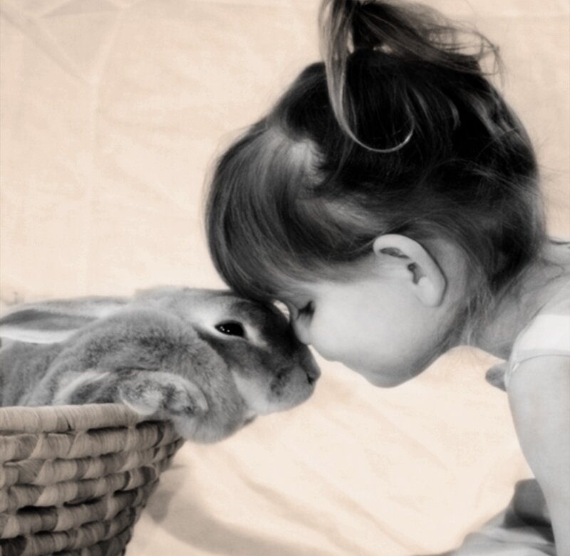 Girl Kissing Rabbit — Black