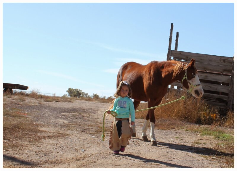Girl Leading a Horse — Brown