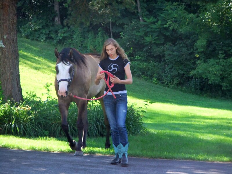 Girl Leading a Horse