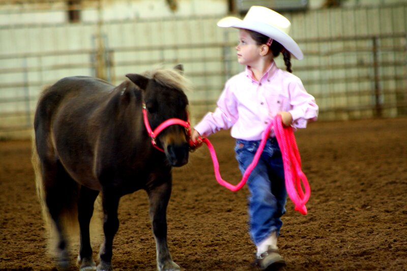 Girl Leading a Pony
