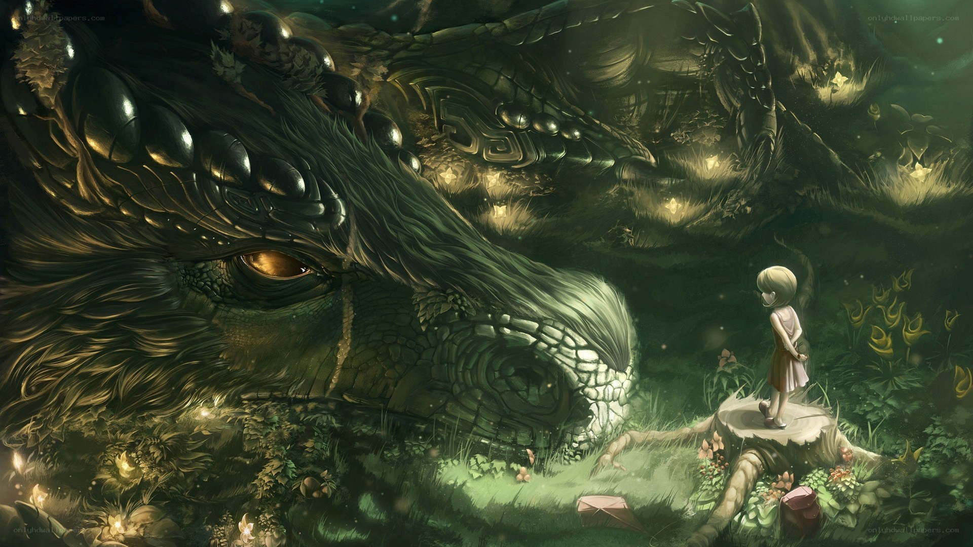 girl meets sleeping dragon