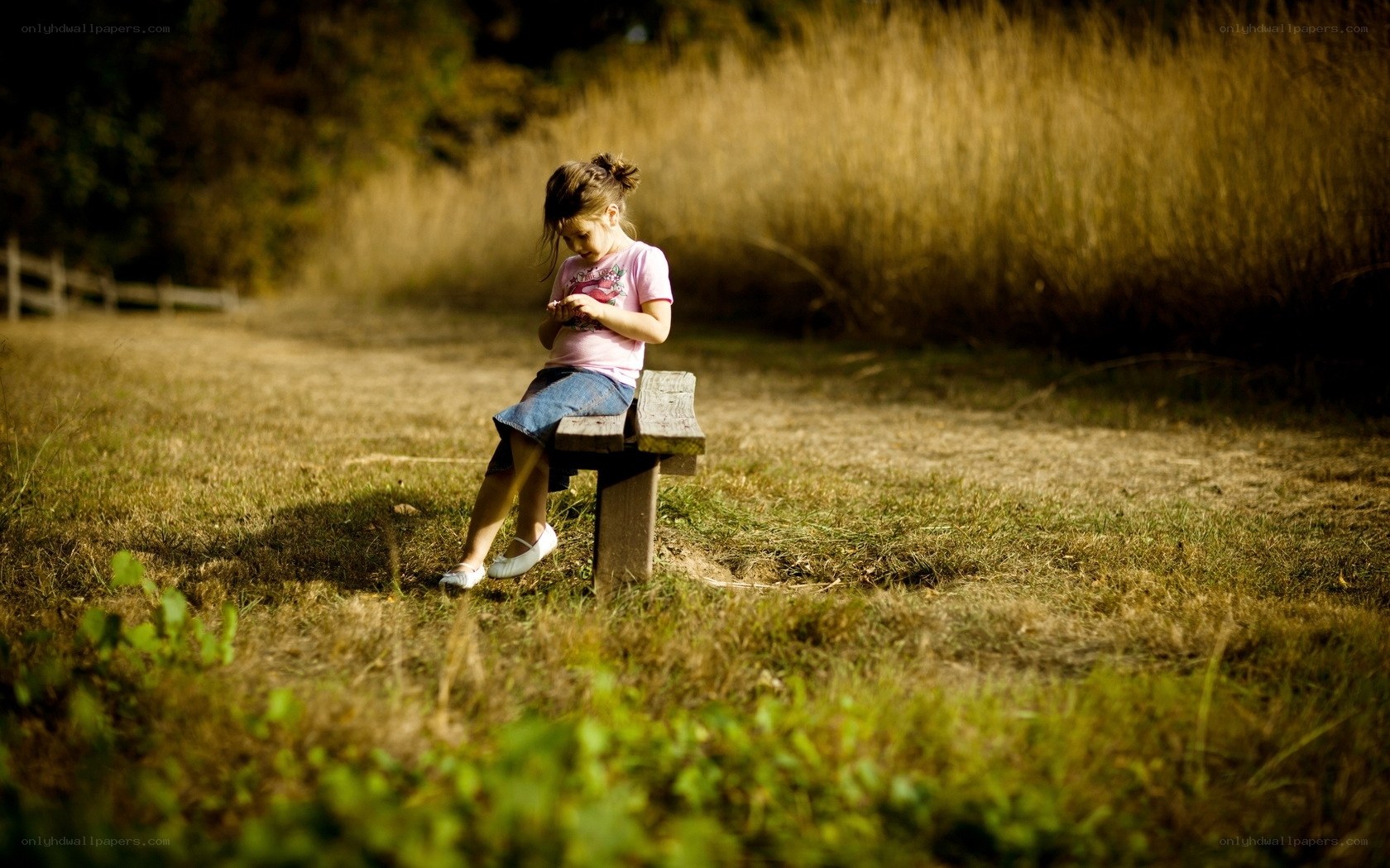 Girl on a bench in a field