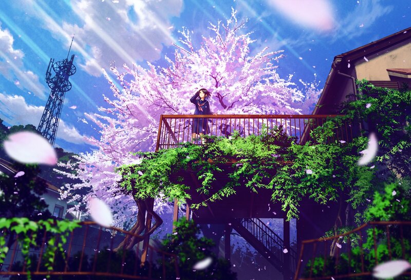Girl on Balcony under Cherry Blossoms