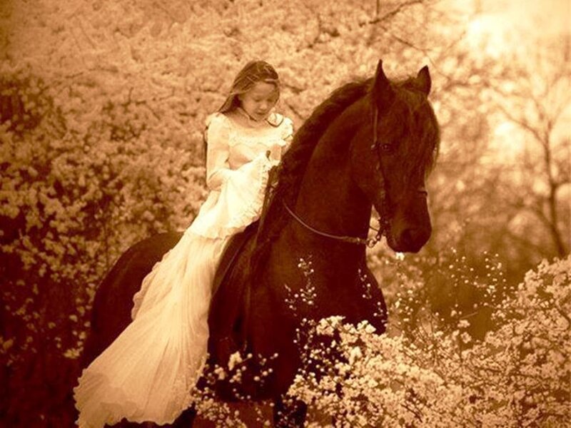 Girl on Black Horse