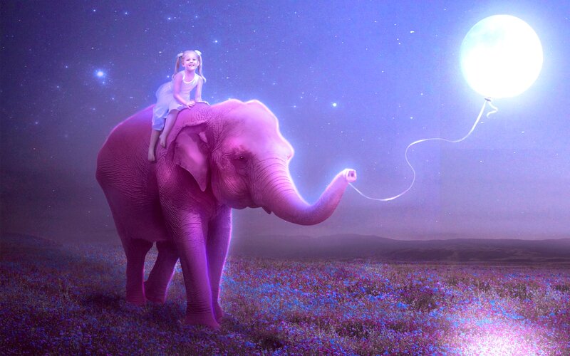 Girl on Pink Elephant