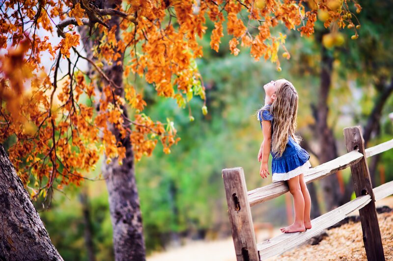 Girl on Wooden Fence