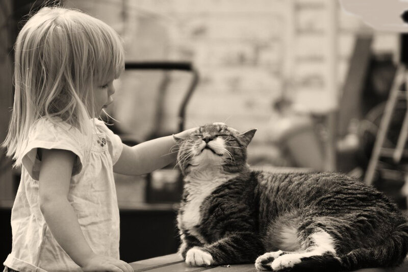 Girl Petting a Cat — Black, Calm