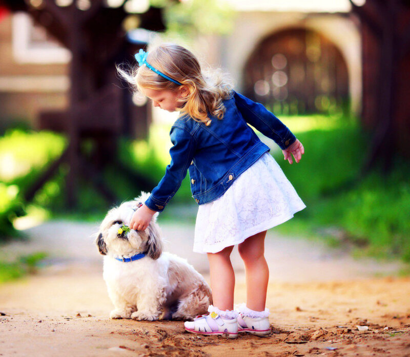 Girl Petting a Dog