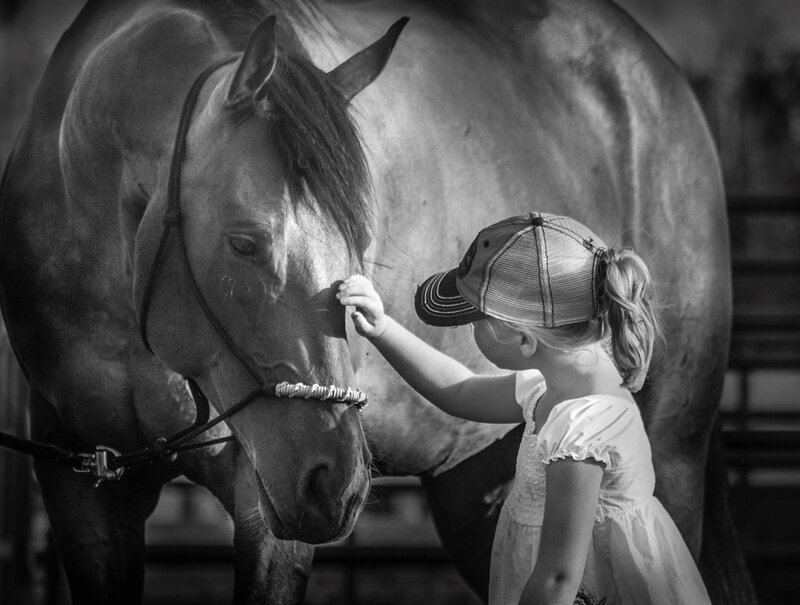 Girl Petting a Horse — Black