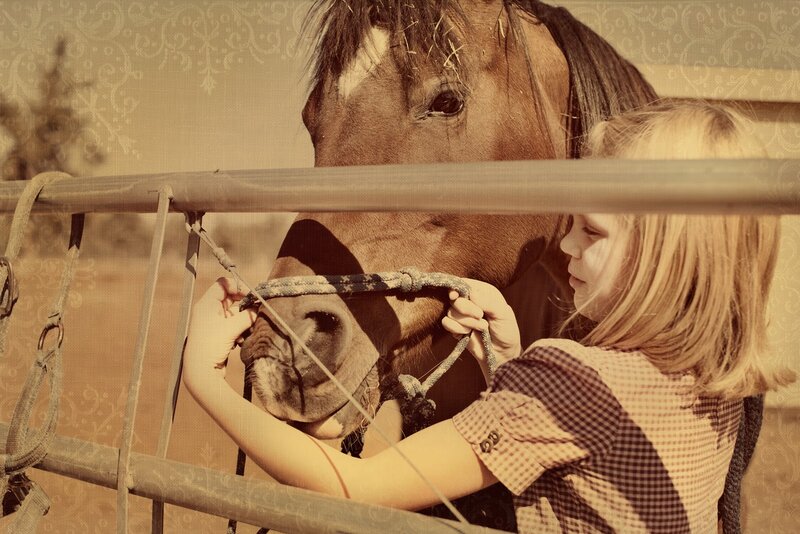 Girl Petting a Horse — Brown
