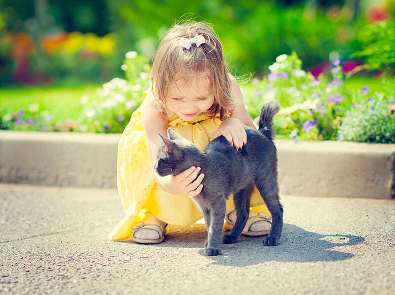 Girl Petting Black Kitten