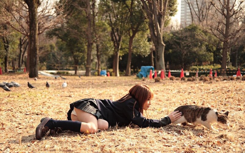 Girl petting cat in park