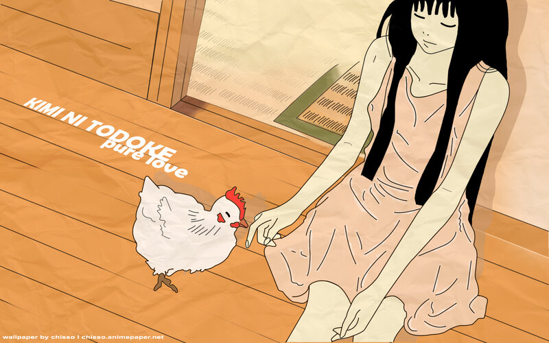 Girl Petting Chicken