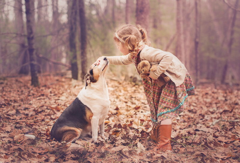 Girl Petting Dog — Brown