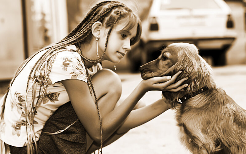 Girl Petting Dog