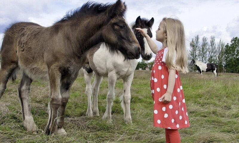 Girl Petting Foals — Green