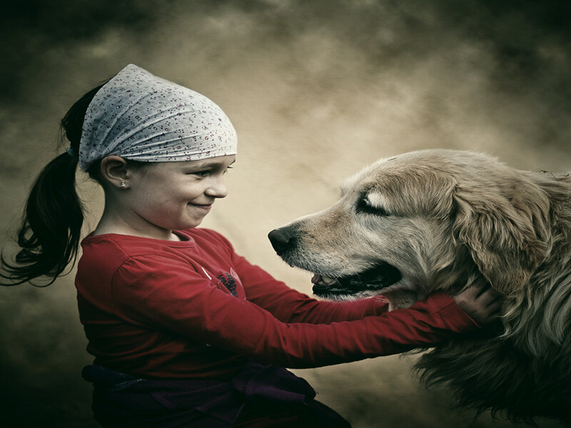 Girl Petting Golden Retriever