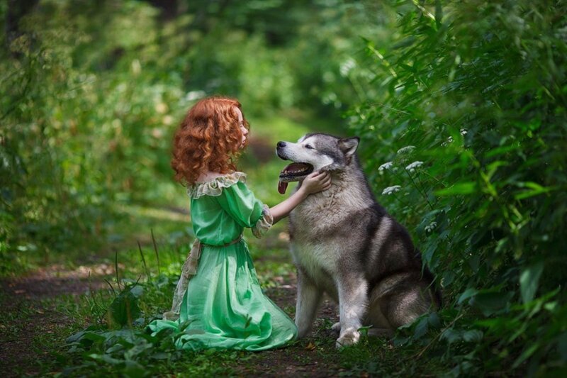 Girl Petting Husky