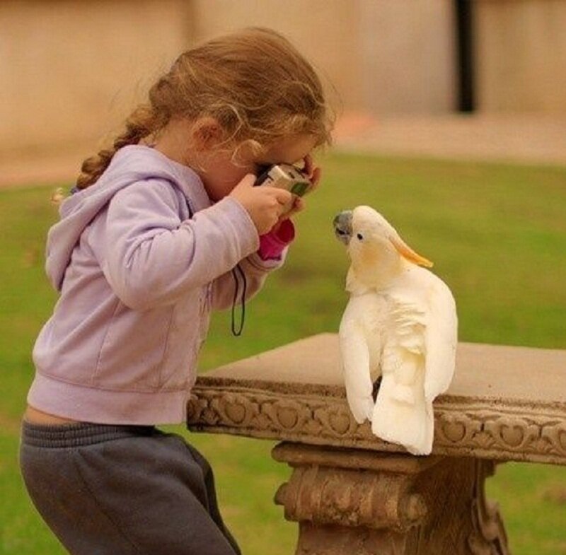 Girl Photographing Cockatoo